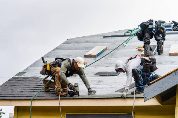 Professional Emergency Roof Repair technician working in Wrightsboro, TX